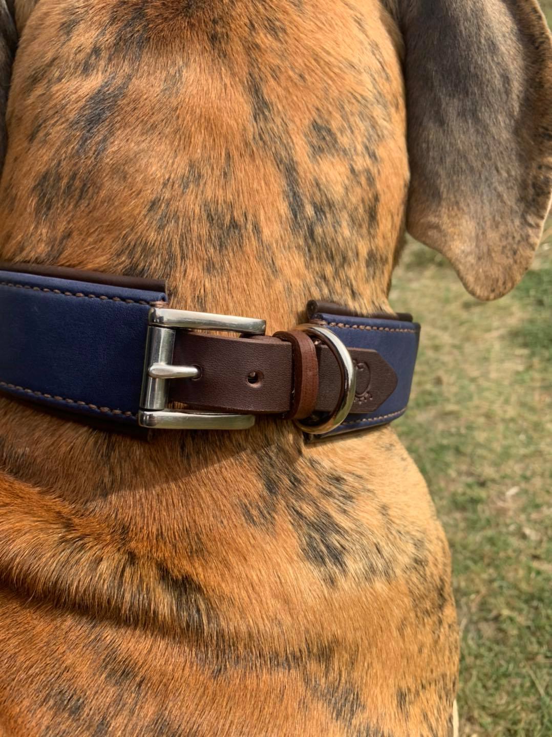 COLLIER CHIEN en cuir D'AUTRUCHE