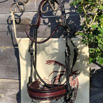 BRIDON EXOTIQUE SERPENT