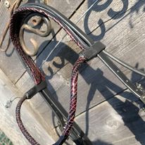 BRIDON EXOTIQUE SERPENT