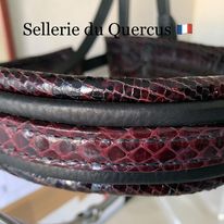 BRIDON EXOTIQUE SERPENT