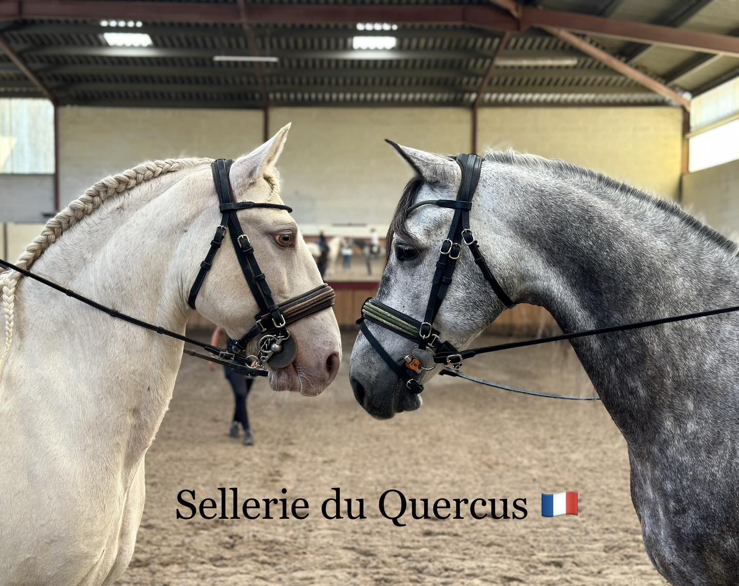 BRIDON LUXE 3 BRINS EN GALUCHAT