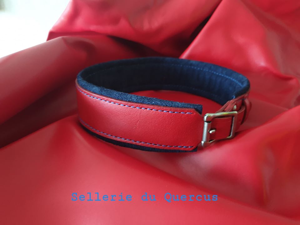 COLLIER CHIEN CONFORT