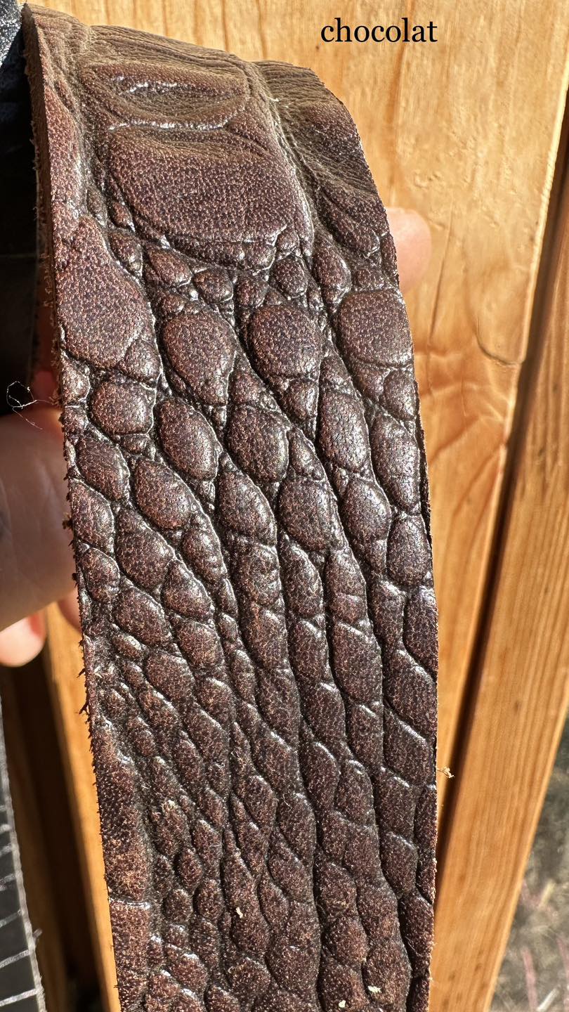 COLLIER CHASSE CROCO
