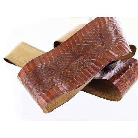 BRIDON EXOTIQUE SERPENT
