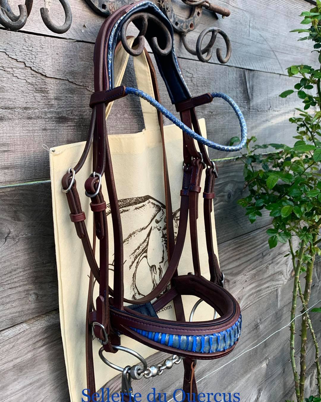 BRIDON PYTHON BLUGOLD