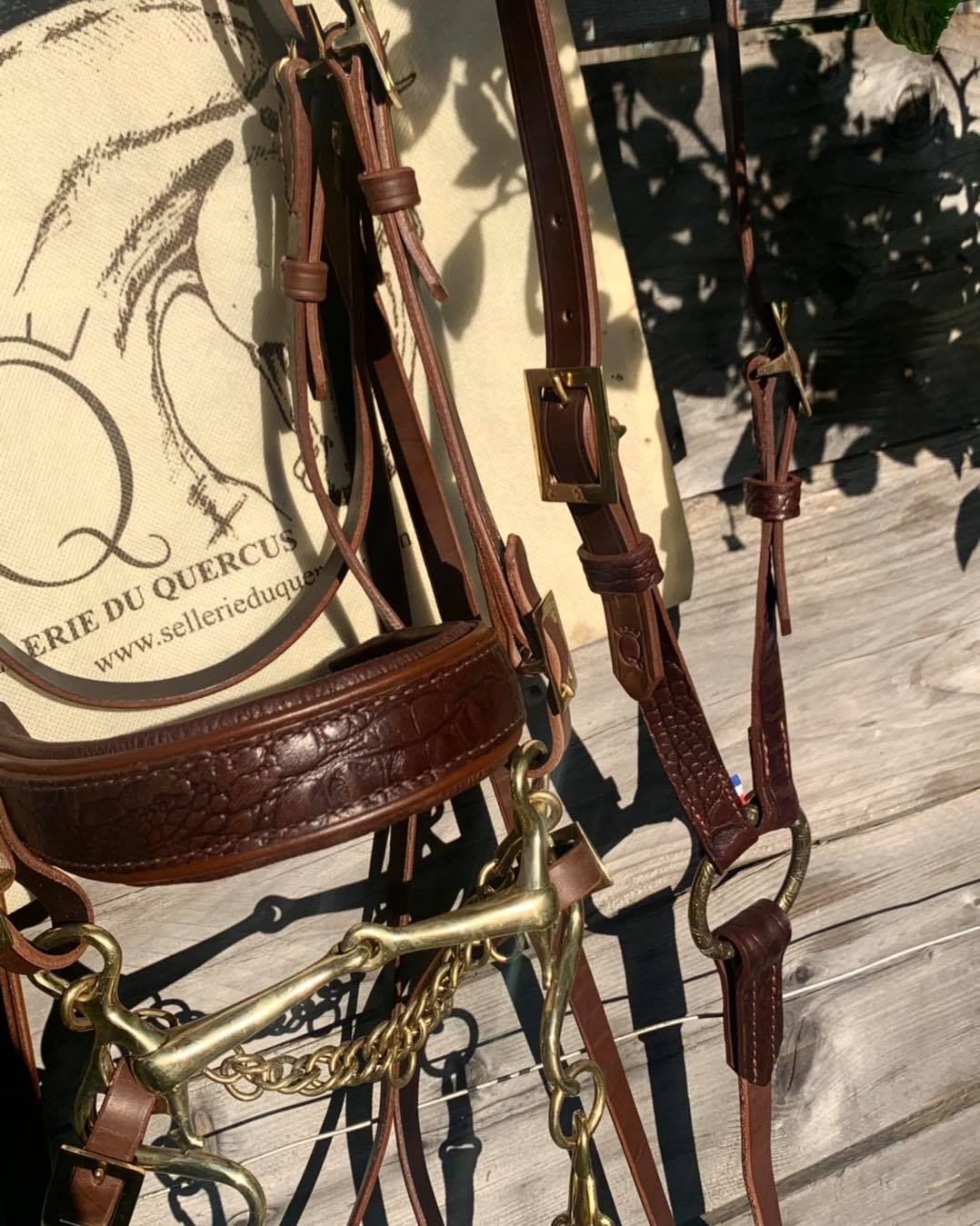 COLLIER CHASSE CROCO