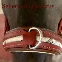 CAVECON de présentation personnalisé en cuir exotique