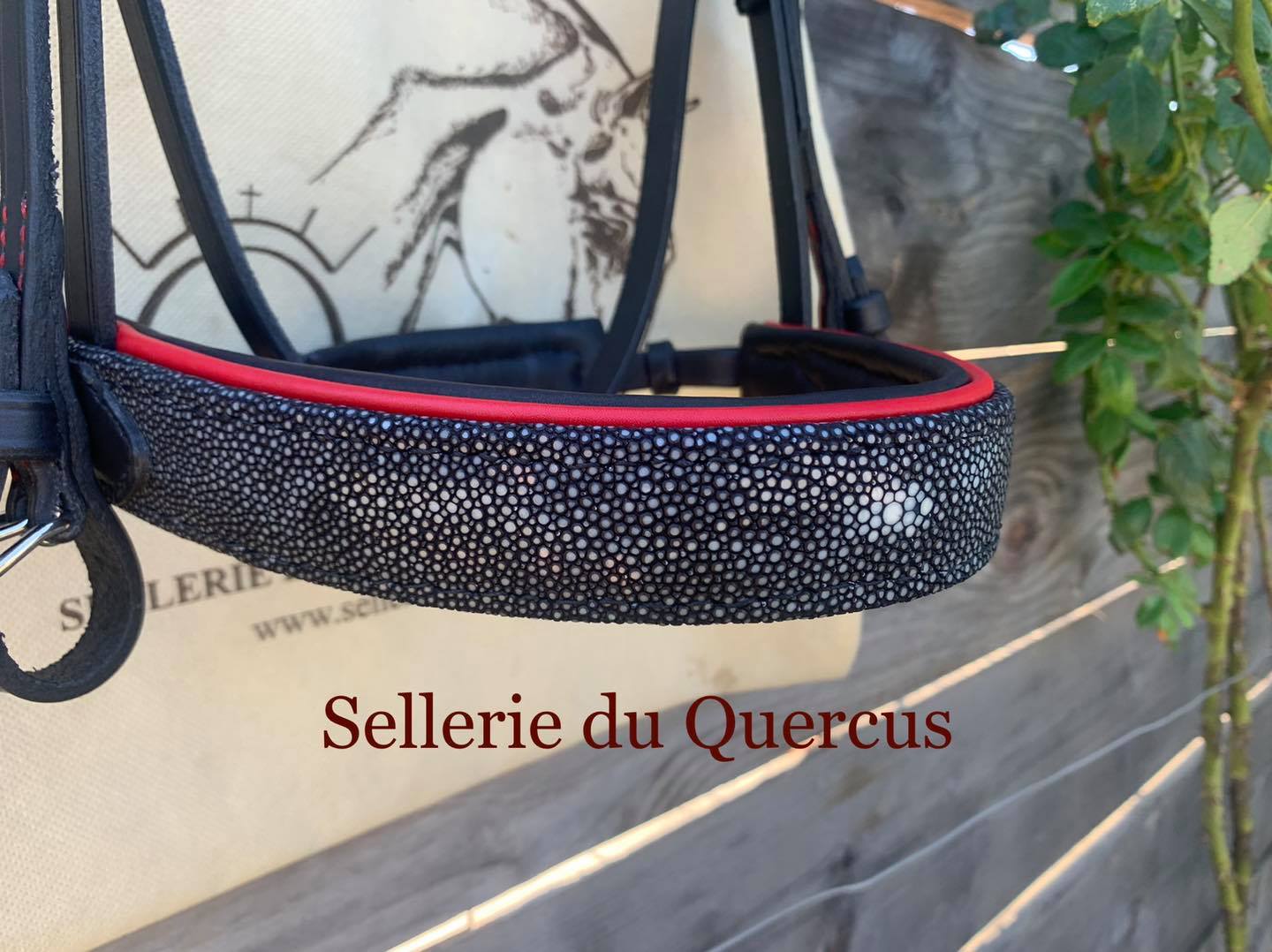 BRIDON PREFERIDO en galuchat