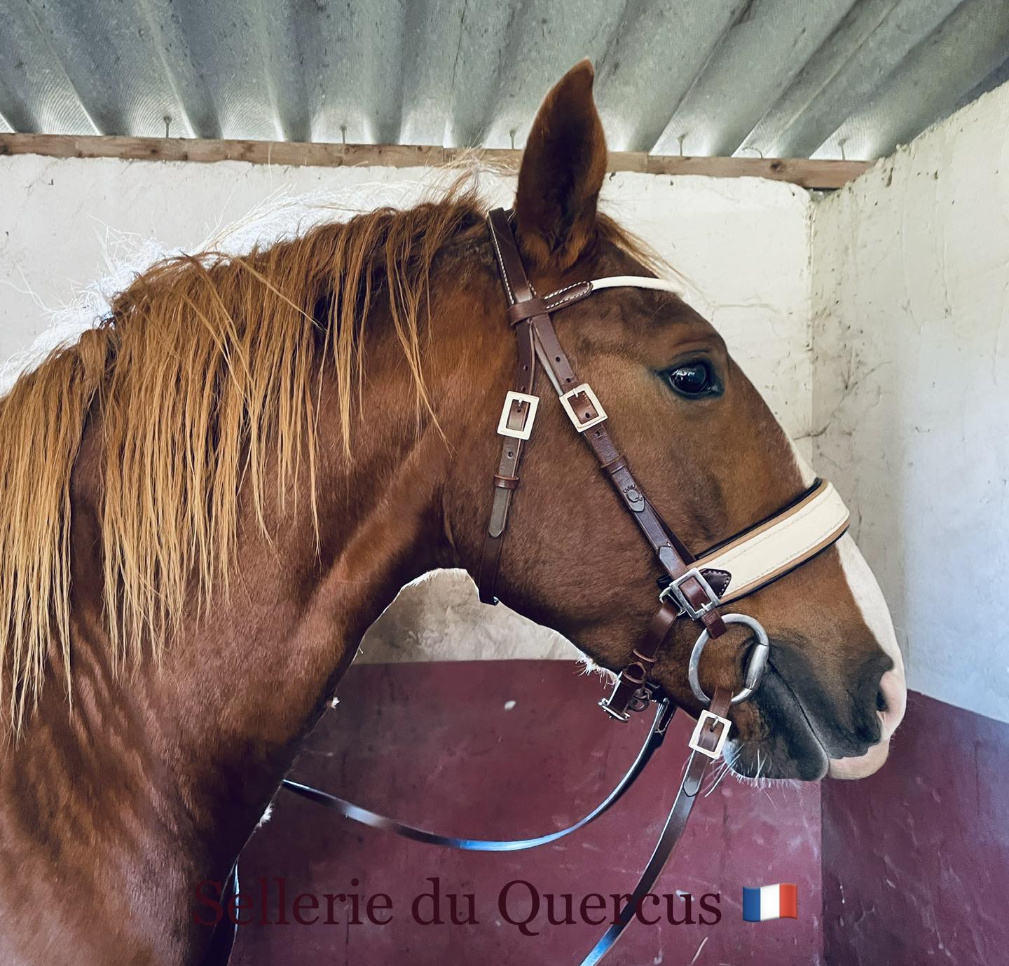 BRIDON PREFERIDO en galuchat