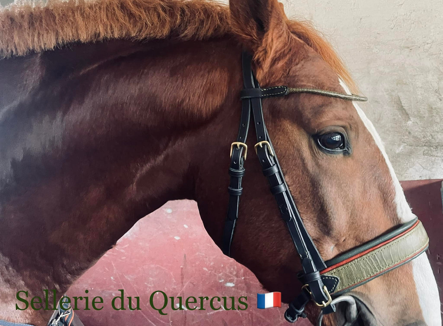 BRIDON EN CUIR D'AUTRUCHE