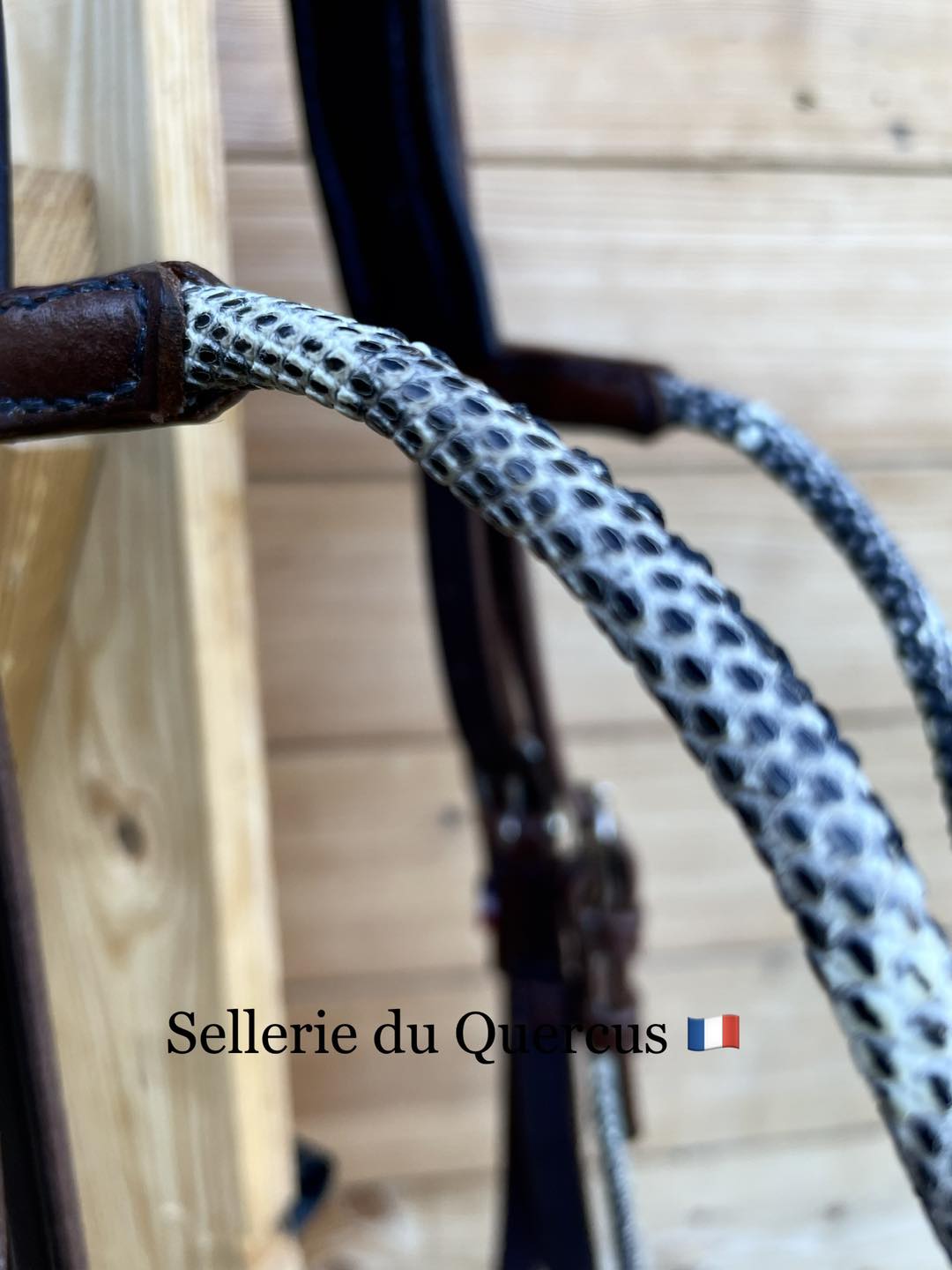 BRIDON EN CUIR EXOTIQUE DE LEZARD