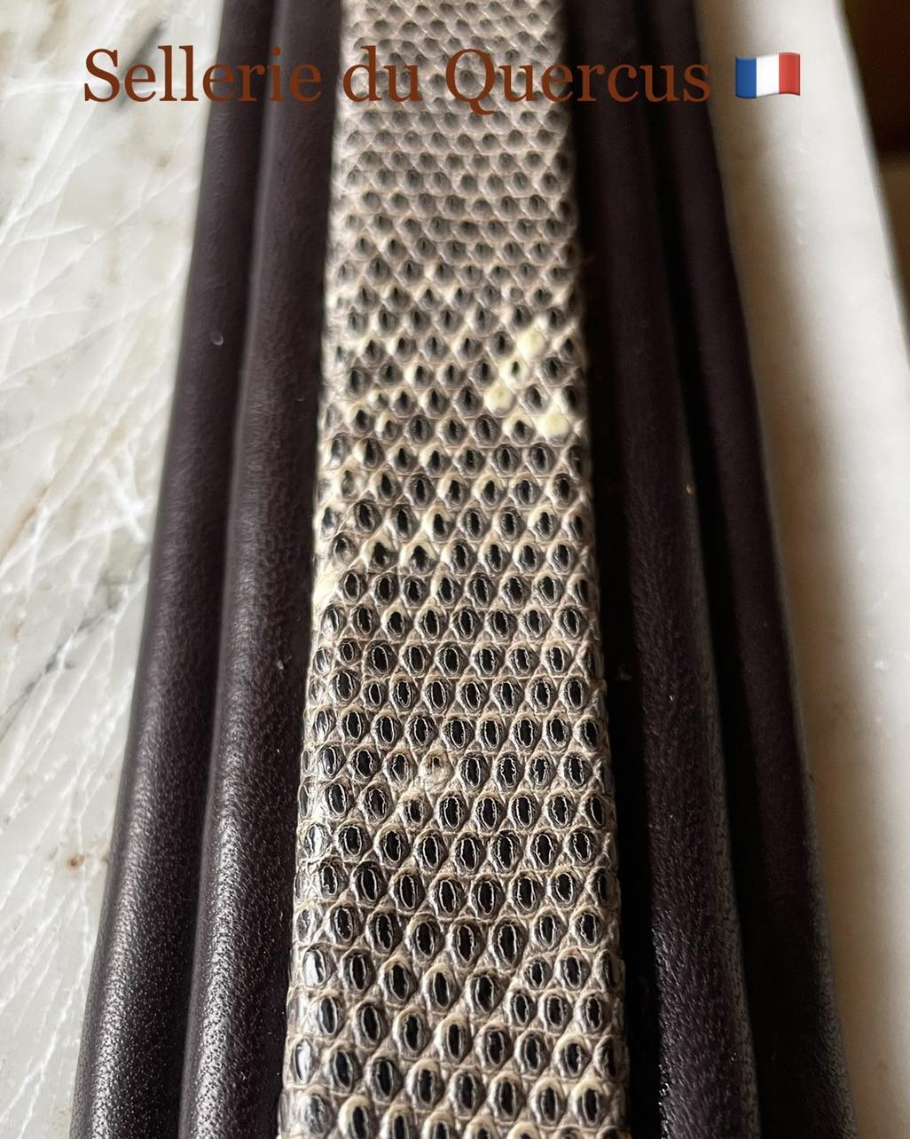 BRIDON EN CUIR EXOTIQUE DE LEZARD
