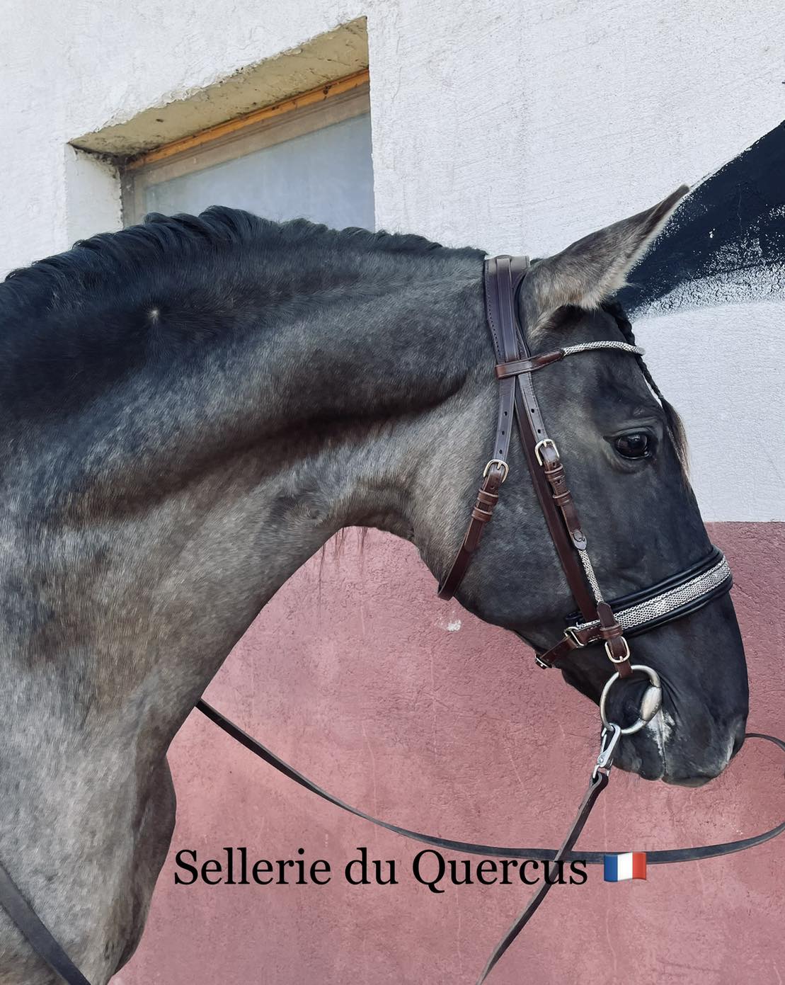 BRIDON EN CUIR EXOTIQUE DE LEZARD