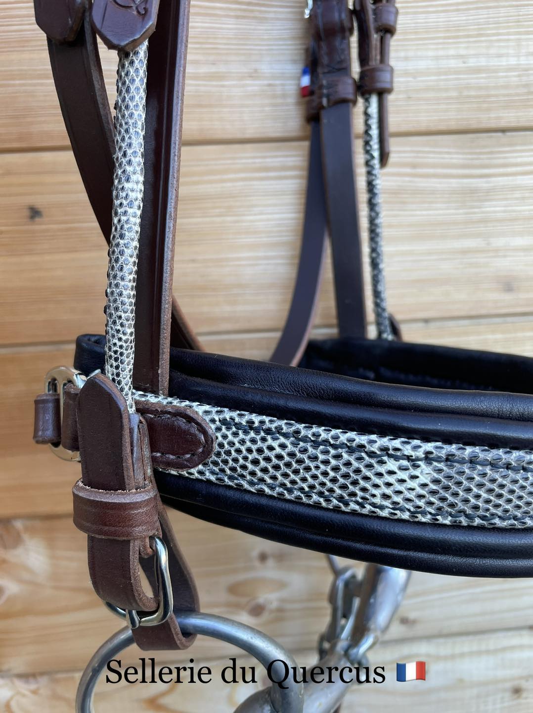 BRIDON EN CUIR EXOTIQUE DE LEZARD