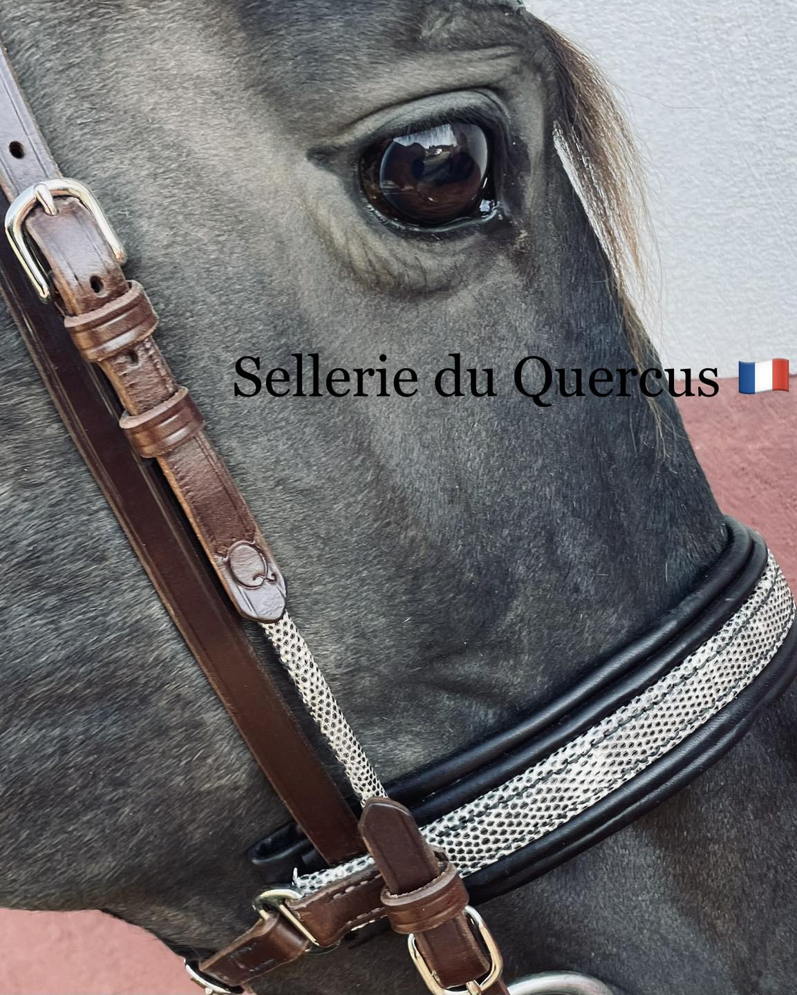 BRIDON EN CUIR EXOTIQUE DE LEZARD