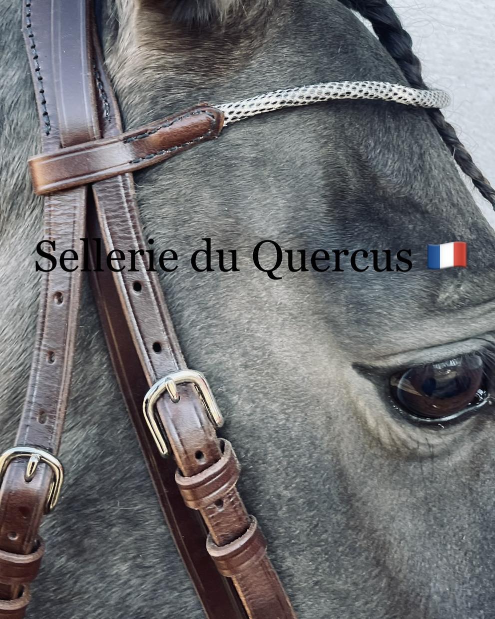 BRIDON EN CUIR EXOTIQUE DE LEZARD