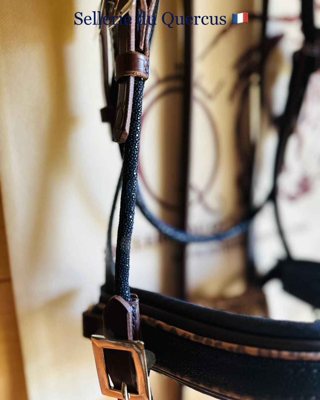 BRIDON GALUCHAT LUXURY