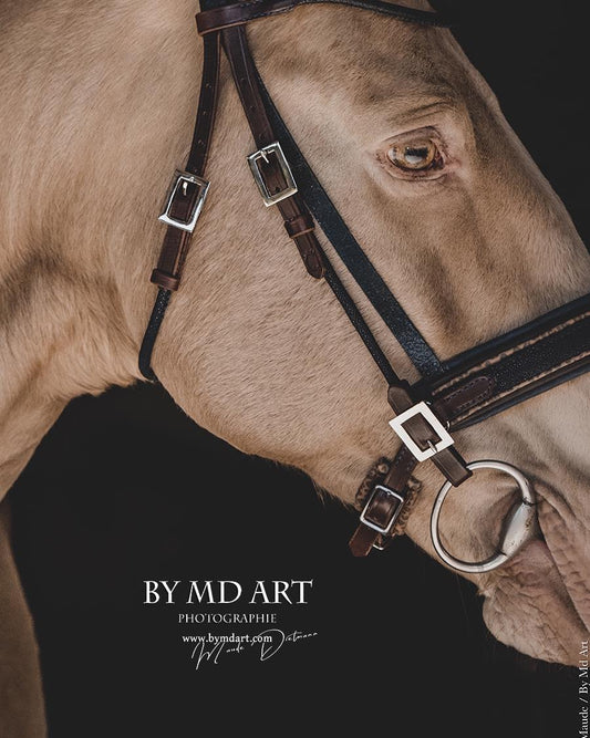 BRIDON GALUCHAT LUXURY