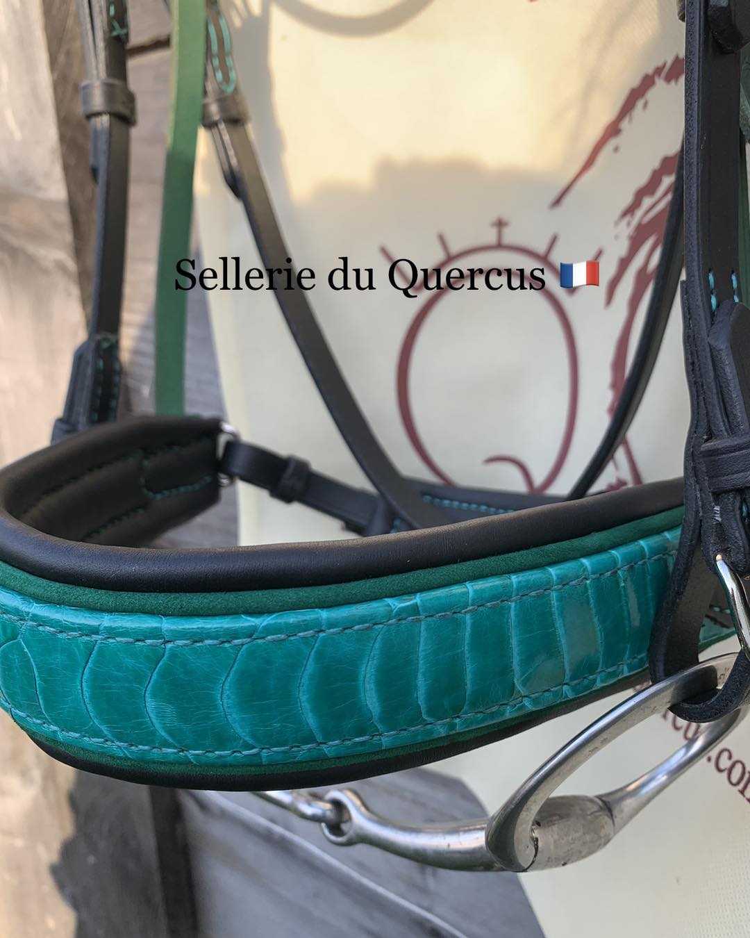 BRIDON EN CUIR D'AUTRUCHE