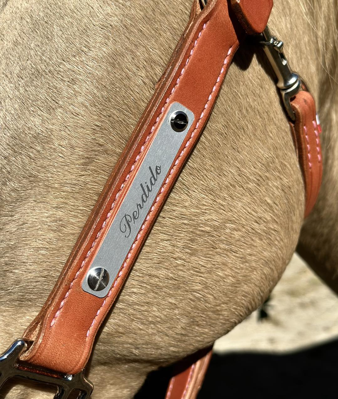 LICOL CUIR EXOTIQUE